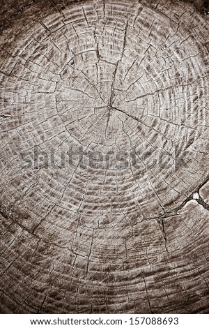 Wood rings structure, background