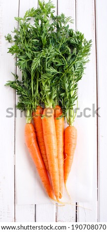 Fresh, raw carrot with leafy tops on stripe painted surface