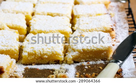 Tangy lemon squares with icing sugar on rack