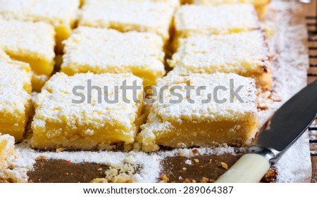 Tangy lemon squares with icing sugar on rack