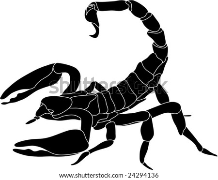 stock vector vector color scorpion isolated on white background