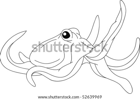 pictures of octopus. nice octopus isolated on