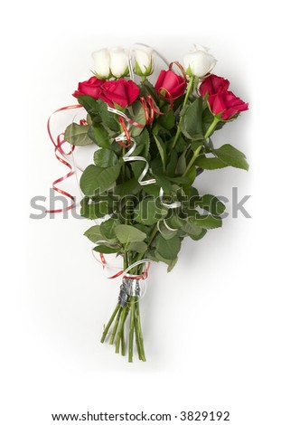 red and white roses background. stock photo : red and white roses on a white background with space for copy