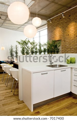 loft-kitchen in open space