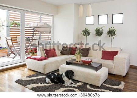 modern bright living room with sofa