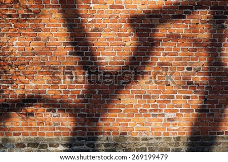 Red brick wall with abstract tree shadows in warm light.