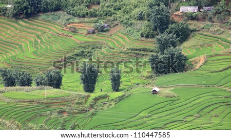 Aerial view of traditional houses at terraced rice fields in Sapa, Vietnam