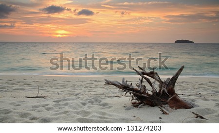 Beautiful tropical beach with wooden twig at twilight in the morning at Koh Adang in Satun, Thailand