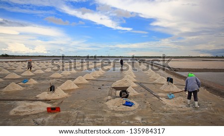 Workers shovel salt at salt pan in Samut Sakhon, Thailand