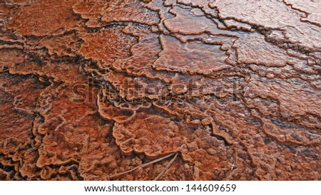 abstract pattern of thermal pool in the geyser basins of Yellowstone National Park