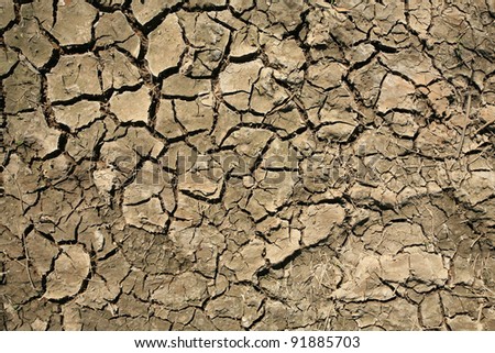 Textured pattern: broke cracked earth with die grass