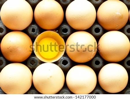 Eggs do not vary greatly. Cannibalism popular worldwide for it scored a good taste.