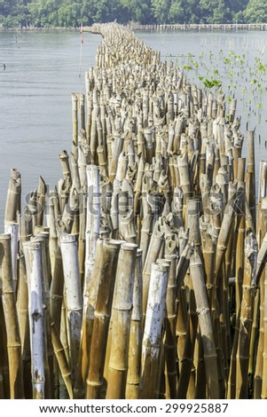 Conservation of wetlands and water erosion in the Gulf of Thailand is a problem in every year. To lose a lot of ground. Conservation began planting bamboo stick to remove the soil flows into the sea