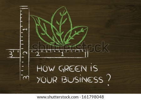 CSR and environment friendly companies, measure how green your business could be