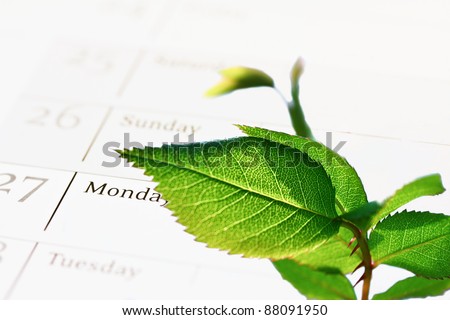 conceptual image of Corporate Social Responsibility, leaf growing over a calendar