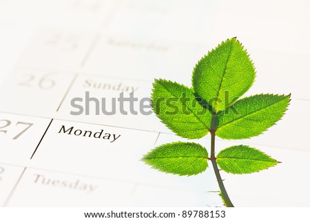 a metaphor of Corporate Social Responsibility,  tree growing on a calendar