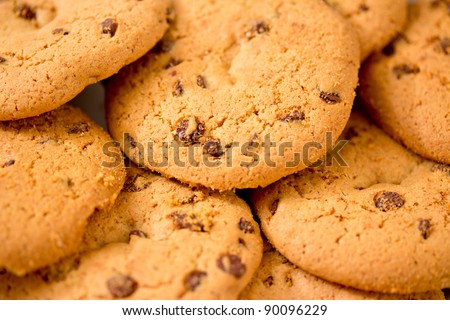 macro shot of a set of cookies with chocolate chips