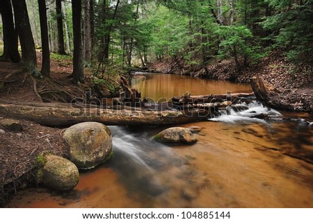 Forest Stream in Springtime near Marquette, Michigan USA