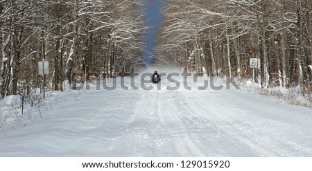 Snowmobile on Michigan Forest trail