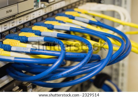 Blue and yellow network cables plugged in hub in computer rack.