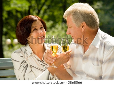 Happy elderly couple celebrating anniversary, life event or holiday with champagne, outdoors