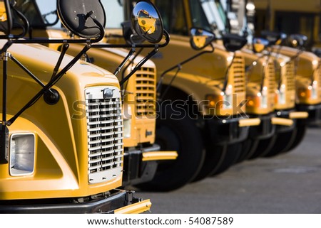 School busses sit in a parking lot