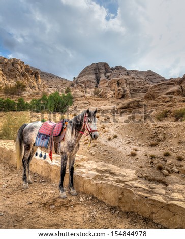 A horse tied near the entrance to Al Siq, the canyon leading to Petra, Jordan