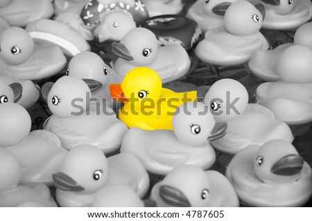 Bunch of rubber ducks floating in a small pool. Black-and-white scene with one bright yellow duck