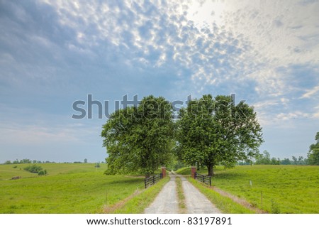 Entrance to a long country driveway lined with old trees