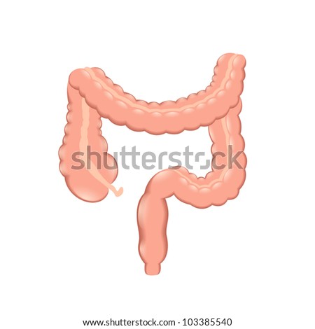 healthy colon healthy colon