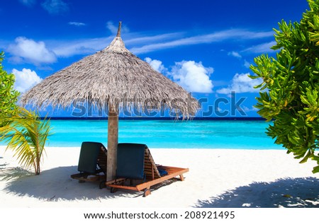 Beach chairs on the tropical sand beach Beach chairs on the tropical sand beach