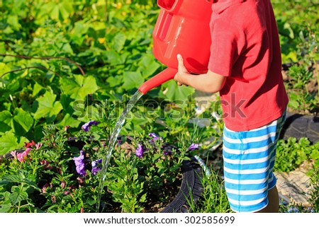little boy watering plants in the garden, kids working in garden