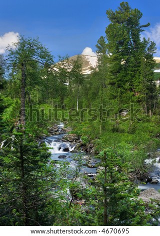 Mountain river. Vertical panorama from 3 HDR imges.