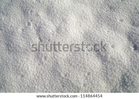 The snow-covered field is covered by hoarfrost in a  sunny day