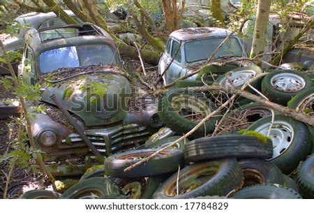 stock photo Car wrecks and old tires in a forest Save to a lightbox 