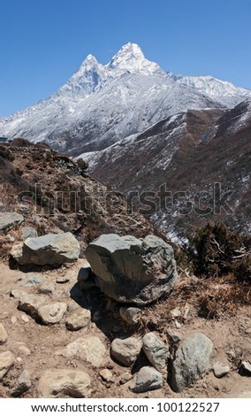 The trek near Ama Dablam (Mt. Everest region) - Nepal