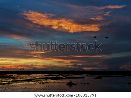 Sunset in the water world in El Cedral - Los Llanos, Venezuela, South America