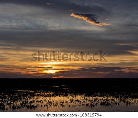 Sunset in the water world in El Cedral - Los Llanos, Venezuela, Latin America