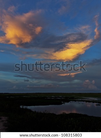 A beautiful sunset in the water world in El Cedral - Los Llanos, Venezuela, South America