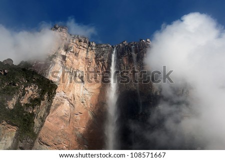 View of top of the Angel Falls ( Salto Angel ) is worlds highest waterfalls (978 m) - Venezuela, Latin America