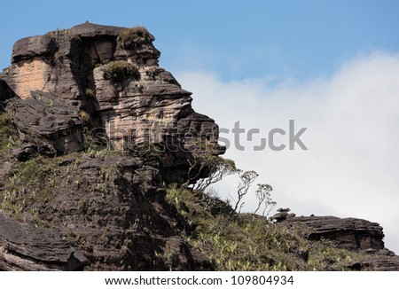 Bizarre ancient rocks of the plateau Roraima tepui - Venezuela, South America