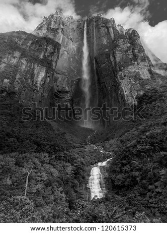 Morning view of the Angel Falls ( Salto Angel ) is worlds highest waterfalls (978 m), Venezuela (black and white)