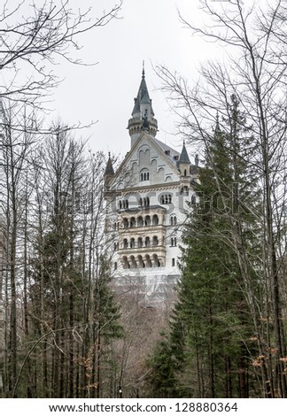 The Neuschwanstein castle in the Bavaria Alps in a mist - Tirol, Germany