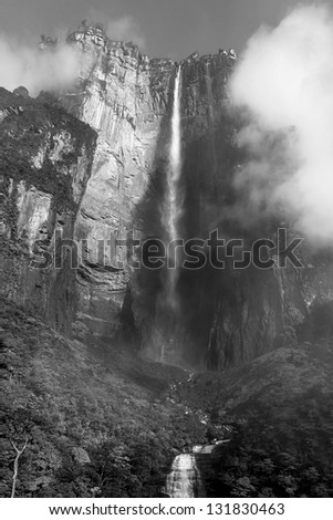 Morning view of the Angel Falls ( Salto Angel ) is worlds highest waterfalls (978 m) - Venezuela, Latin America (black and white)
