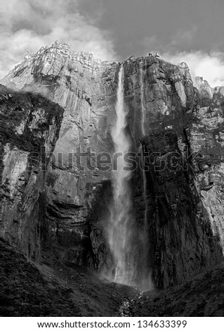 Morning view of the Angel Falls ( Salto Angel ) is worlds highest waterfalls (978 m) - Venezuela, Latin America (black and white)