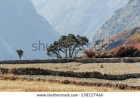 The compound wall of the field for the grazing of domestic animals near Dhole village - Everest region, Nepal, Himalayas