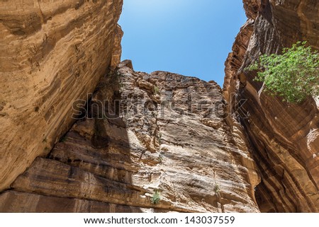 Colored walls in the canyon of the Sig (Kings Way) - narrow passage to ancient city Petra, Jordan