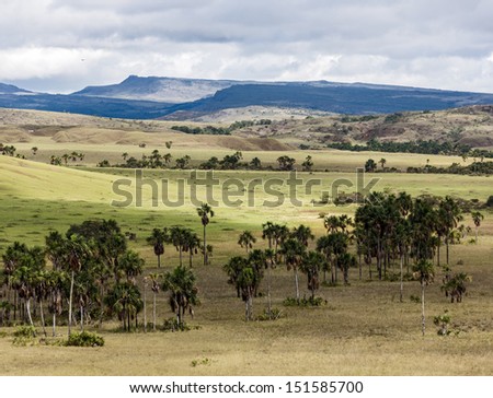 Beautiful landscape characteristic for the Gran Sabana - Venezuela, Latin America