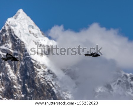 Black birds and snow flags on the top of the Ama Dablam - Mt. Everest region, Nepal