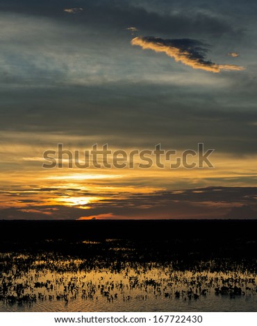 Sunset in the water world in El Cedral - Los Llanos, Venezuela, Latin America